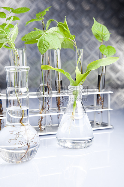 工厂和实验室管子生态科学杂草生物植物群药品实验化学测试图片