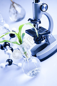 生态实验室生物管子工程药品学习杂草玻璃蓝色植物群化学品图片