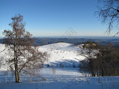平地树木天空高山解脱山脉植被背景风景全景领域图片