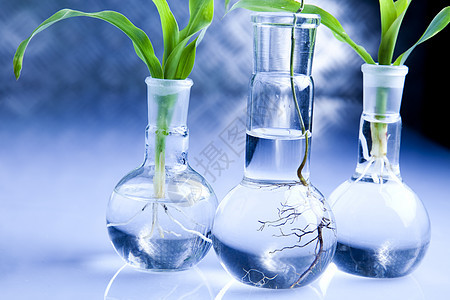 工厂和实验室吸管生物科学技术蓝色生态工程测试药品化学图片