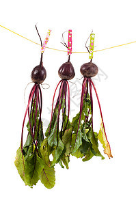 挂着甜菜收成营养树叶食物白色紫色绿色蔬菜花园别针图片