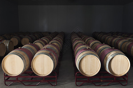 酒桶橡木圆柱传统金属酒窖酿酒农业生产栽培地窖图片