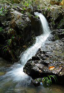 水瀑流动风景公园溪流荒野森林叶子瀑布岩石石头图片