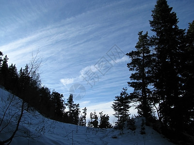 冬季全景文件木头植物群高山斜坡山丘一条路线山峰青菜图片