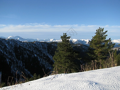 主要高加索山脊冰川天空山丘植被文件斜坡松树一条路线高山登山图片