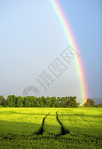 彩虹的风景晴天奶制品季节收成天空地平线稻草风暴蓝色农田图片