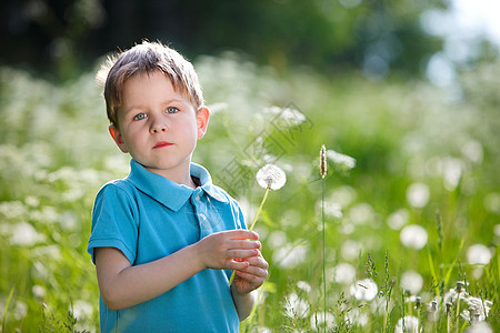 带丹德利翁的男孩季节场地绿色男生晴天童年帽子公园草地孩子图片
