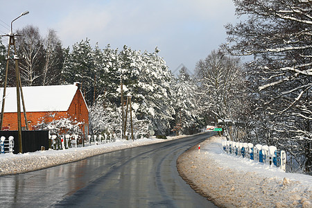 冬季森林中的道路导游安全地形风景场景后勤旅行树木松树送货图片