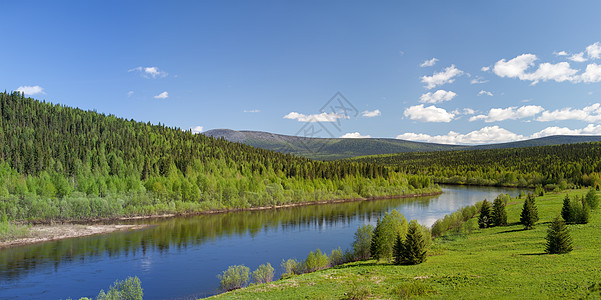 夏月风景 维谢拉河 乌拉尔山 全景图片