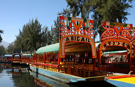墨西哥城Xochimilco号船追求城市文化花园运河拉丁旅行血管航海蔬菜图片