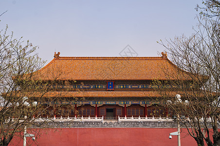 北京禁城 主大厅图片