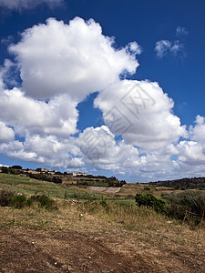 马耳他地区蓝色绿色生态衬套爬坡绿色植物气候叶子农村季节图片