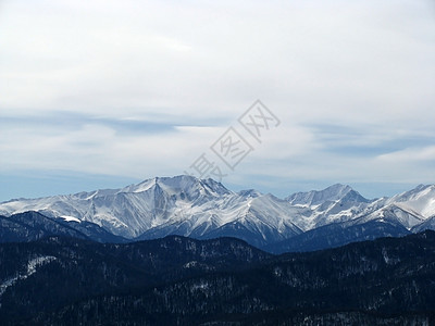 高山山脉解脱风景植物群旅行冰川岩石植被雪峰背景文件图片