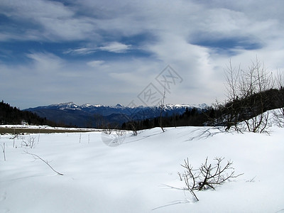 高山山脉冰川植被旅行斜坡登山背景木头风景植物群文件图片