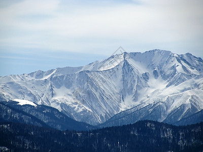 高山山脉雪峰植物群白色全景天空风景解脱植被旅行木头图片
