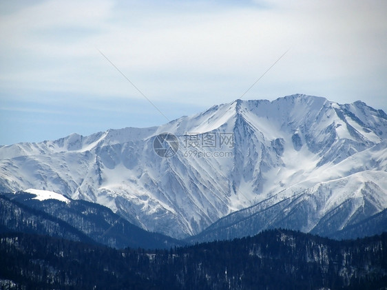 高山山脉雪峰植物群白色全景天空风景解脱植被旅行木头图片