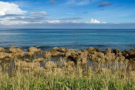 珊瑚礁岩石海岸线 带草图片