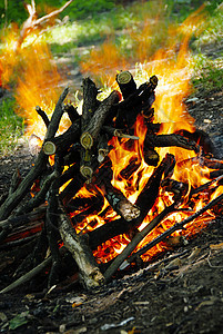 燃烧火木头灯光烧伤森林宏观野餐点燃力量日志火焰图片
