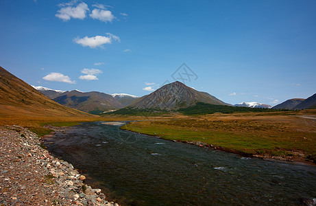 阿尔泰山脉 美丽的高地景观 俄罗斯 西伯利亚山脉顶峰场景爬坡荒野地形蓝色空气高山山腰图片