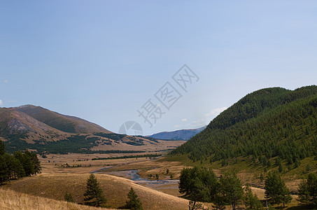 阿尔泰山脉 美丽的高地景观 俄罗斯 西伯利亚高山荒野空气森林天空地形场景全景山脉山腰图片