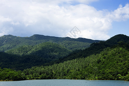 北山和绿草蓝色土地阳光植物群桦木森林草地野生动物场地国家图片