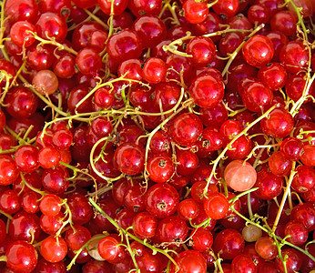 曲线花园食物水果小吃红色甜点图片