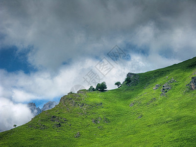 美丽的山地景观植物学蓝色植物风景环境叶子公园牧场农村天空图片