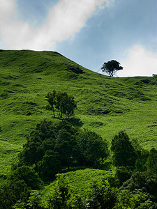 美丽的山地景观山脉风景叶子环境植物家园公园土地树叶村庄图片