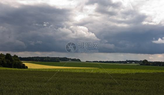 土豆和谷物田以及农场和森林图片