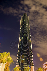 夜里最高的摩天大楼树木夜景建筑城市棕榈图片