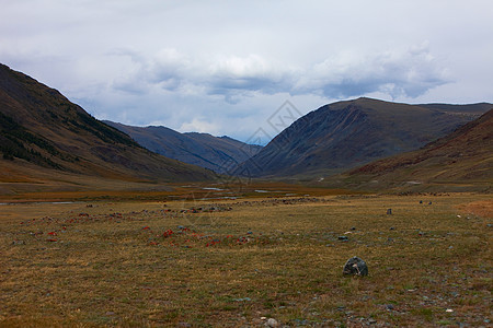 阿尔泰山脉 美丽的高地景观 俄罗斯 西伯利亚荒野场景爬坡顶峰大雪冰川山腰环境空气全景图片