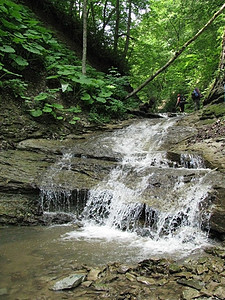 瀑布圆形河流一条路线溪流水分岩石木头自然保护区游览对象图片