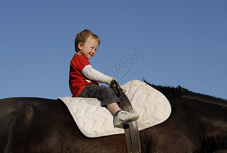 骑小男孩骑术孩子微笑家庭幸福闲暇孩子们运动骑马动物图片