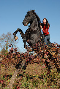 养种马和快乐的女孩运动动物骑马黑色天空场地蓝色幸福草地女士图片