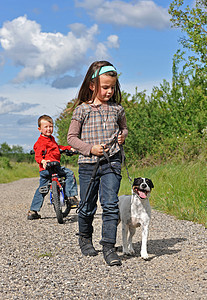 玩耍的孩子犬类伴侣自行车兄弟白色男生动物女孩宠物家庭图片