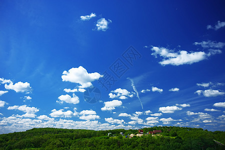 蓝天空和绿林图片