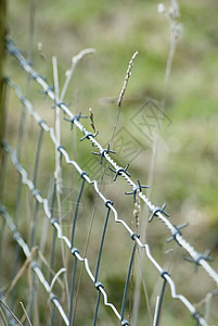 围网围栏栅栏倒钩风险农村作品国家守护危险绿色警告图片