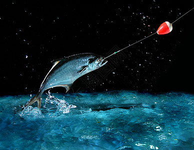 夜里钓大鱼渔夫跳跃浮标鳟鱼运动惊喜捕鱼装置低音波浪图片