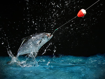 夜里钓大鱼装置捕鱼鳟鱼渔夫惊喜运动跳跃波浪浮标低音图片