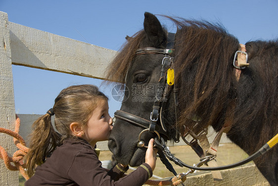 女童和小马眼睛鼻子孩子们马背伴侣运动哺乳动物朋友骑术棕色图片