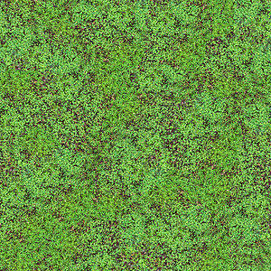无缝裁缝模式三叶草风格飞沫植物学阳光生物学生长植物群植物草地背景图片