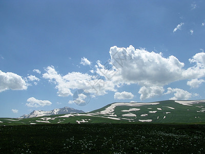 阿尔卑斯山草原斜坡距离植物群青菜山脉天空高山路线全景植被图片
