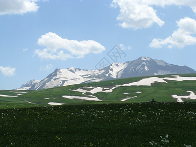 阿尔卑斯山草原草甸花朵旅行路线高山山丘旅游冰川植物天空图片