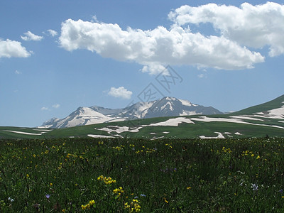 阿尔卑斯山草原草甸山丘冰川植被植物高山山脉距离青菜路线图片