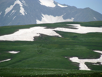 阿尔卑斯山草原山丘风景高山花朵草甸青菜全景路线植物群旅行图片