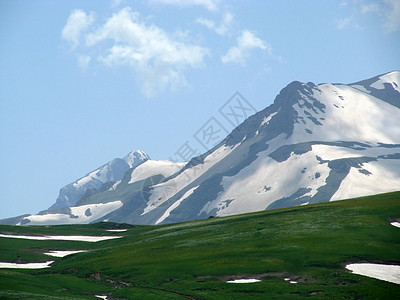 阿尔卑斯山草原青菜路线冰川旅游植被斜坡风景花朵山丘草甸图片