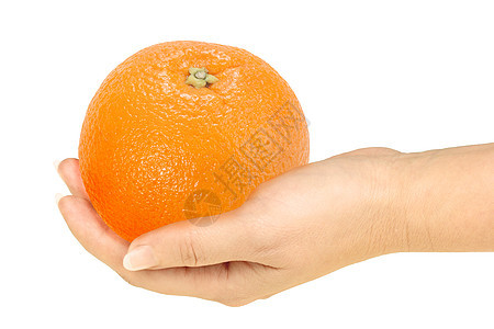 手握橙子工作室肉质活力礼物照片棕榈水果圆圈摄影宏观图片