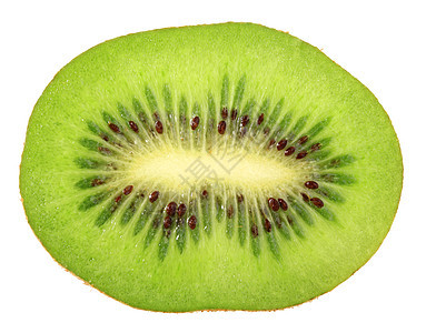 Kiwi 单横段图片