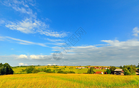 Swabian alb的夏日蓝天农业野花生长草地场地乡村图片