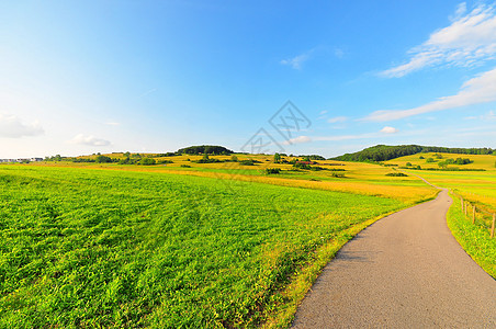 Swabian alb的夏日农业野花蓝天场地乡村草地生长图片